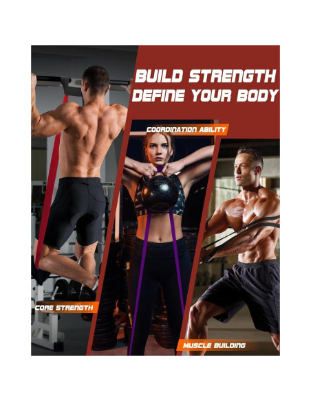 Juego de Bandas de Resistencia Fitense 6 Niveles para Pull Up