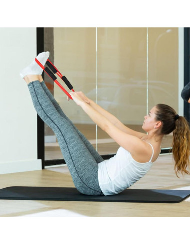 Barra Doble Tubo de Resistencia Sel Natural 64.77 cm Rojo