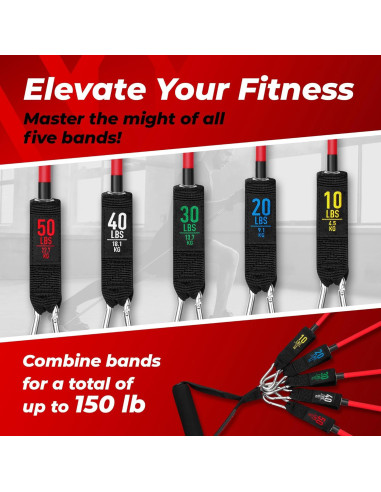 Conjunto de Bandas de Resistencia ASU Trainer 10-50 lb
