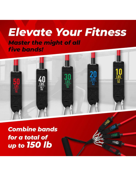 Conjunto de Bandas de Resistencia ASU Trainer 10-50 lb