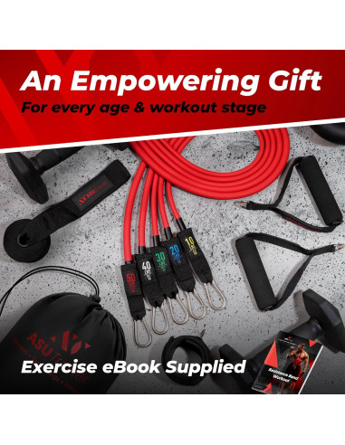 Conjunto de Bandas de Resistencia ASU Trainer 10-50 lb
