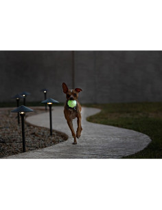 Pelota Jolly Pets Jumper Grande 10.16 cm para Perros - Brilla en la Oscuridad 2