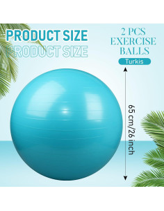 Pelotas de Ejercicio Leyndo 2 Pcs 65 cm Antiburst Turquesa 2