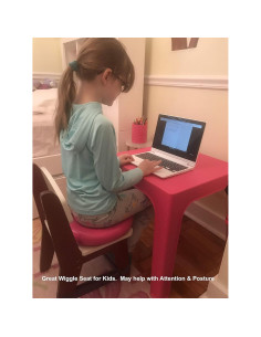 Disco de Equilibrio Inflado Elección del Terapeuta Rosa 34.3cm 2