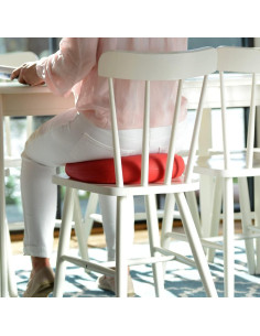 Cojín de Asiento Activo Sissel SitFit Plus Rojo 36.83 cm 2