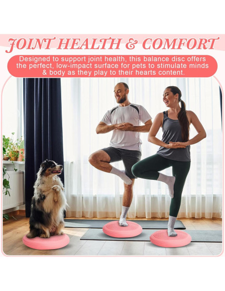 Asiento de Balance Wobble Cushion Libima 33cm Lila Aciano