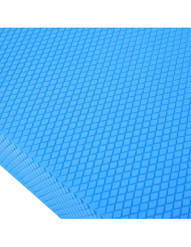 Almohadilla de Equilibrio Fragraim Azul 40x33x5 cm Antideslizante