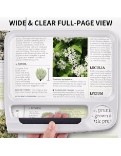 Lupa Recargable JARLINK 5X 10X con Luz LED Ajustable - Blanca 2