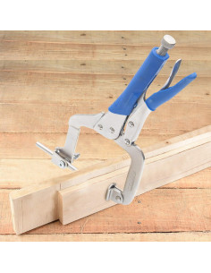 Abrazadera de Agujero de Bolsillo Dragonite 11 Pulgadas Metal 2