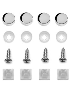 Tornillos de Acero Inoxidable LFPartS para Placas de Matrícula