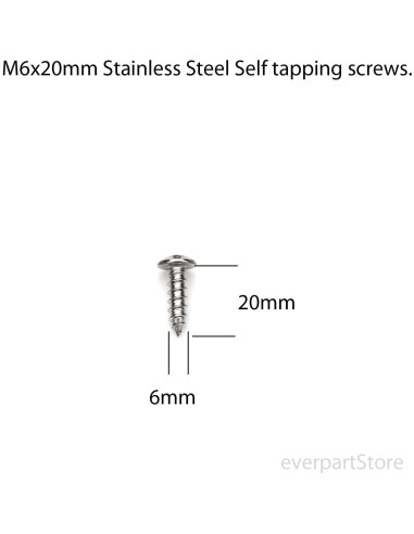 Tornillos de Acero Inoxidable LFPartS para Placas de Matrícula