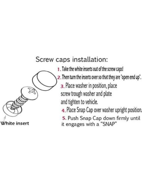 Tornillos de Acero Inoxidable LFPartS para Placas de Matrícula