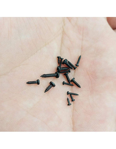 Kit de 750 Tornillos Pequeños M1-M1.7 HanTof - Acero al Carbono