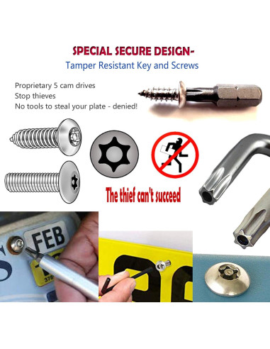 Tornillos Antirrobo Aootf para Placas de Matrícula - Acero Inoxidable, 8 Piezas