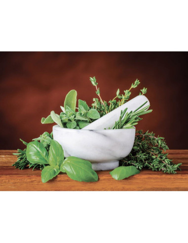 Juego de Mortero y Mano HIC Kitchen de Mármol Carrara 10 cm