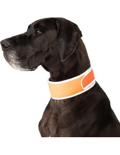 Collar Refrigerante para Perros Hi-Vis Naranja X-Grande 2