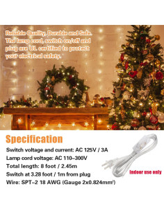 Juego de Cable de Lámpara Asjeumt 2.45m con Interruptor y Enchufe 2