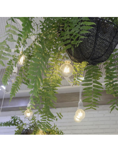 Cordón de Luz Colgante Zarnicy 4.88 m E26/E27 Blanco 2 Paquete