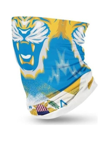 Máscara Balaclava Unisex Bandera Islas Vírgenes 100% Microfibra