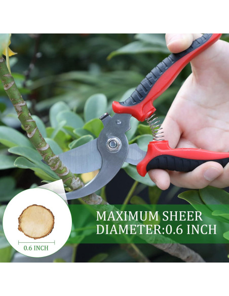 6 Tijeras de Jardín Bypass Kigeli 19 cm Acero Inoxidable