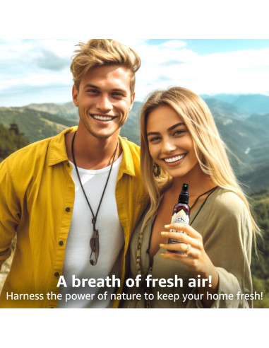 Ambientador Natural Lumi Outdoors 1 Paquete Limón Vainilla 150g