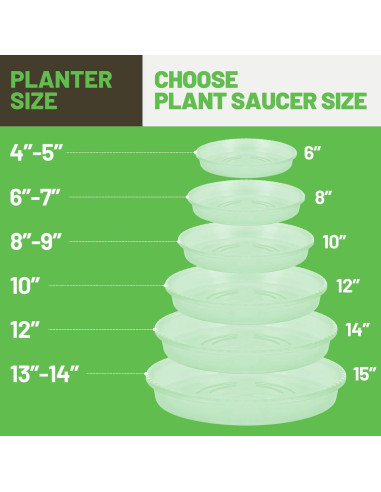 Plato para Plantas MUDEELA 30.48 cm Transparente 6 Piezas