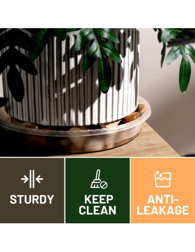 Plato para Plantas MUDEELA 30.48 cm Transparente 6 Piezas