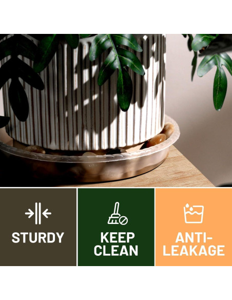 Plato para Plantas MUDEELA 30.48 cm Transparente 6 Piezas