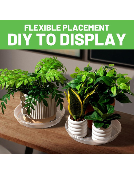 Plato para Plantas MUDEELA 30.48 cm Transparente 6 Piezas