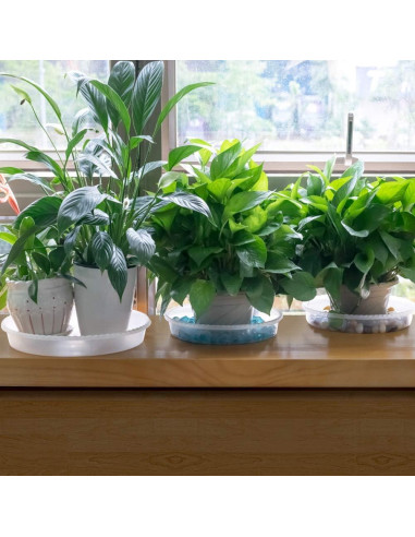 Plato para Plantas MUDEELA 30.48 cm Transparente 6 Piezas