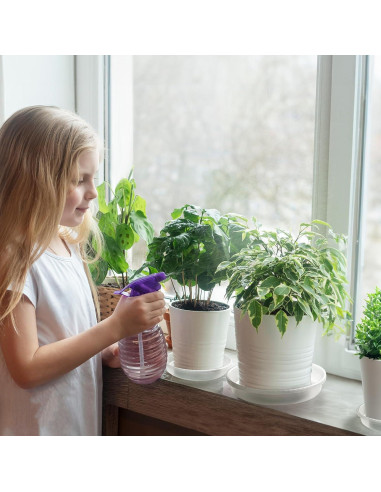 Plato para Plantas MUDEELA 30.48 cm Transparente 6 Piezas