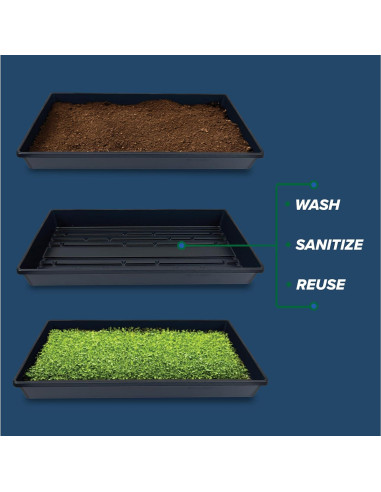 10 Bandejas de Cultivo Living Whole Foods 20x10cm Sin Drenaje