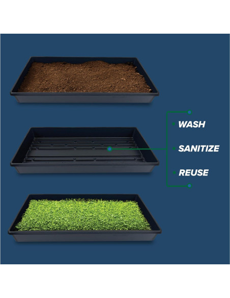 10 Bandejas de Cultivo Living Whole Foods 20x10cm Sin Drenaje