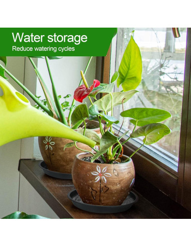 Platillos para Plantas PeoMev 12pcs Redondos 6-8-10 Pulgadas