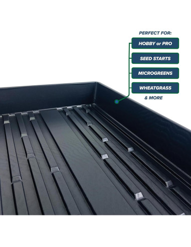 10 Bandejas de Cultivo Living Whole Foods 20x10cm Sin Drenaje