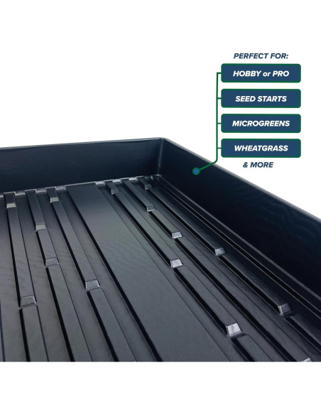 10 Bandejas de Cultivo Living Whole Foods 20x10cm Sin Drenaje