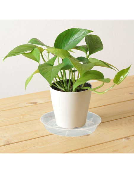 Paquete de 6 bandejas de goteo Afrine 15.24 cm transparentes