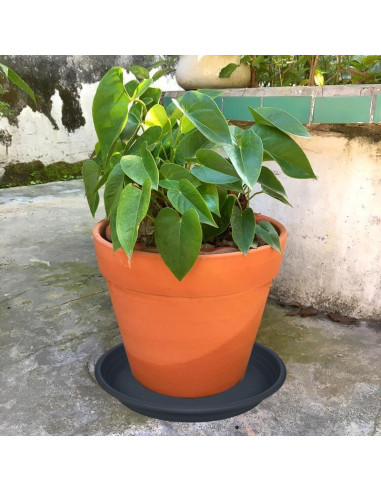 5 Paquetes de Plato para Plantas SAUCERHOME 16.5 cm Negro
