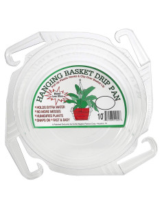 Plato de Goteo Transparente Curtis Wagner 23 cm - Paquete de 10