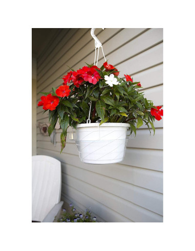 Plato de Goteo Transparente Curtis Wagner 23 cm - Paquete de 10