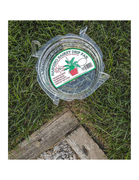 Plato de Goteo Transparente Curtis Wagner 23 cm - Paquete de 10