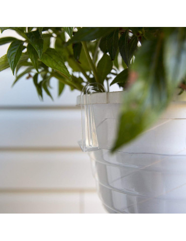 Plato de Goteo Transparente Curtis Wagner 23 cm - Paquete de 10