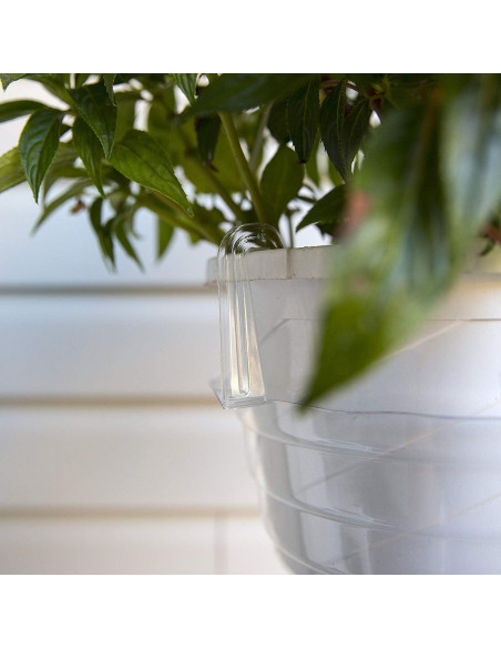 Plato de Goteo Transparente Curtis Wagner 23 cm - Paquete de 10