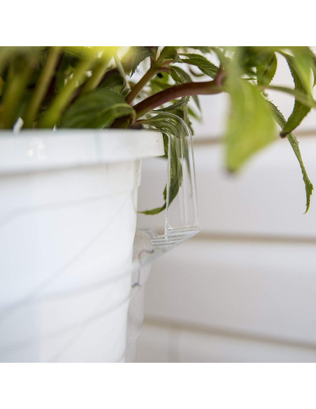 Plato de Goteo Transparente Curtis Wagner 23 cm - Paquete de 10