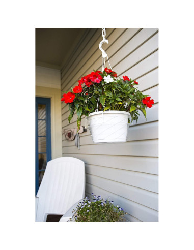 Plato de Goteo Transparente Curtis Wagner 23 cm - Paquete de 10