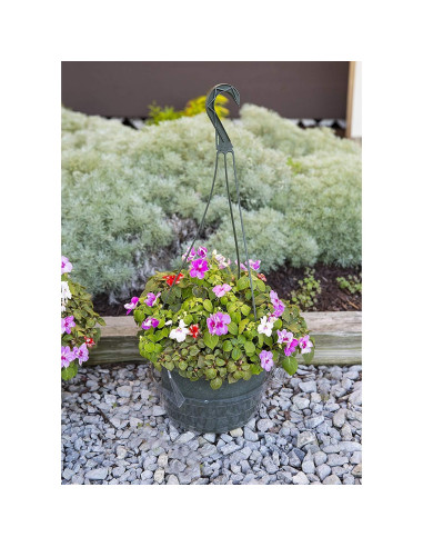 Plato de Goteo Transparente Curtis Wagner 23 cm - Paquete de 10