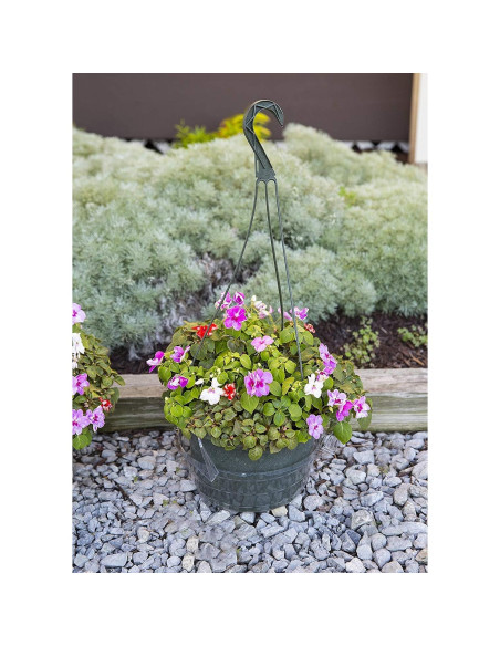 Plato de Goteo Transparente Curtis Wagner 23 cm - Paquete de 10