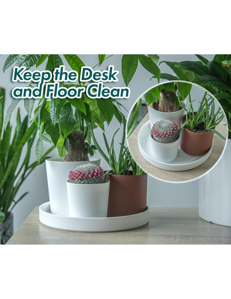 Plato de Planta Phoenix Vine 30.48 cm Blanco Mate con Drenaje