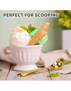Cucharón de Helado Snailhouse Acero Inoxidable 16.5 cm Dorado 2