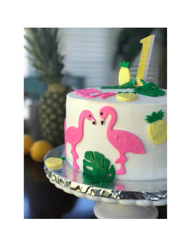 Conjunto de 5 cortadores de galletas Honbay tropicales